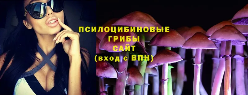 Галлюциногенные грибы Magic Shrooms  Котельнич 